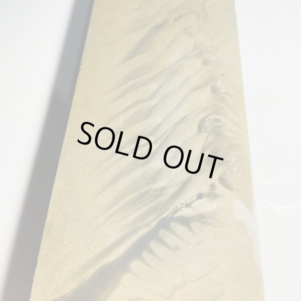 Photo4: Japanese naturalwhetstone Ohira NASHIJI SUITA  Lv3  730g (4)