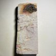 Photo5: Japanese naturalwhetstone HIDERIYAMA RENGE SUITA Lv2 1107g (5)